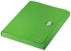 Box na dokumenty, 38 mm, PP, A4, LEITZ "Recycle", zelen