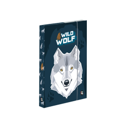 kolsk box A5 Wolf PP24