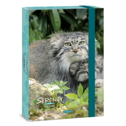 Školský box A4 Serenity CAT ARS UNA