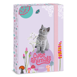 kolsk box A4 Cute animals Kitten ARS UNA