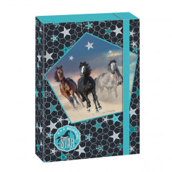 Školský box A4 MORNING STAR HORSE