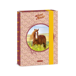kolsk box A5 My Sweet Horse ARS UNA