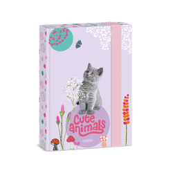kolsk box A5 Cute animals Kitten ARS UNA